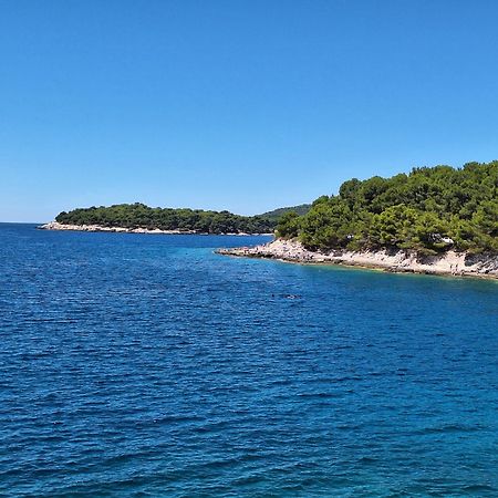 Villa Kamelija Fažana Exteriér fotografie